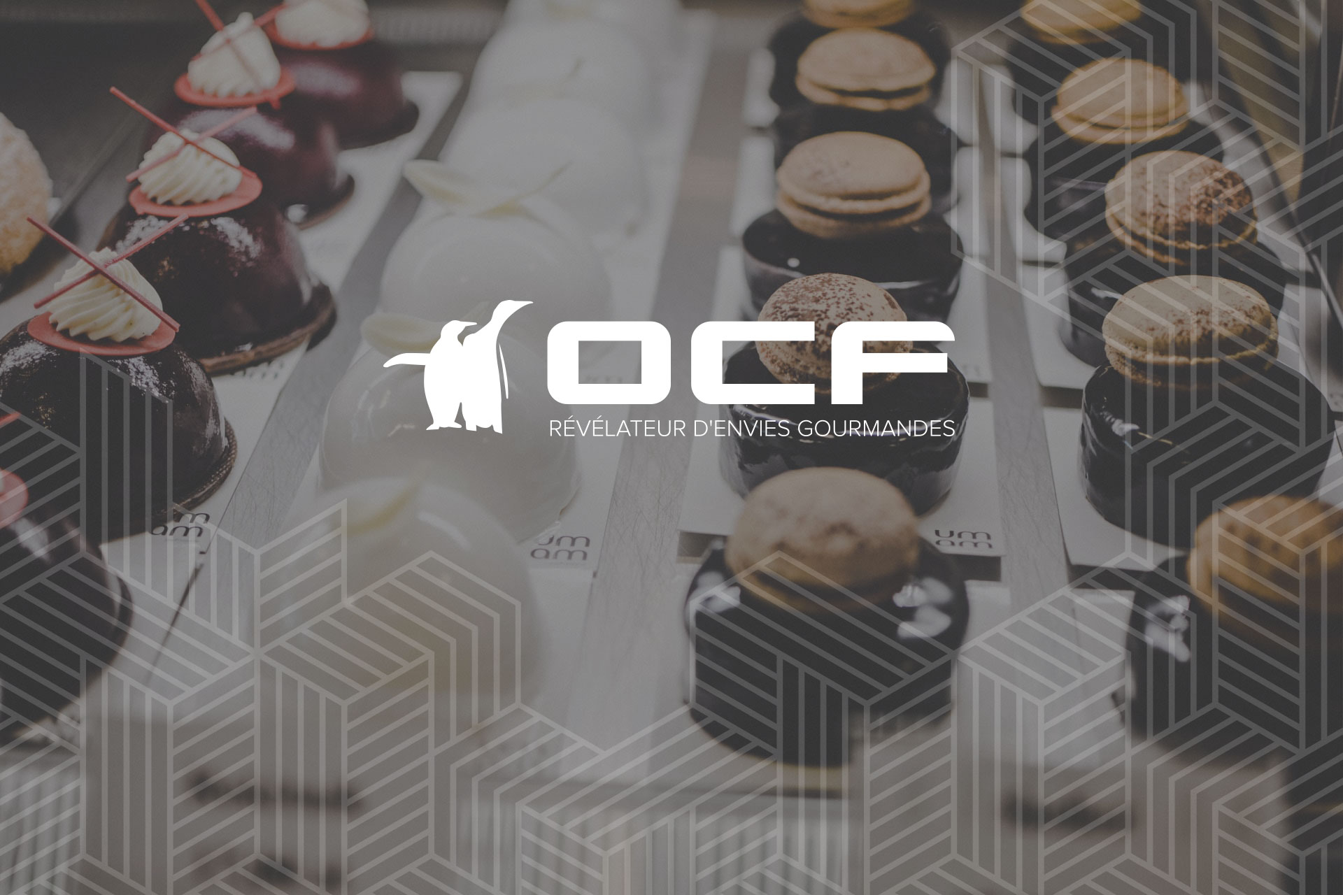 vitrines-refrigerees-ocf-logo-slider-OK