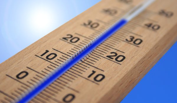 ocf-vitrine-refrigeree-temperature-vitrine-au-printemps